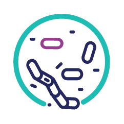 Bacteria and antibiotic icon